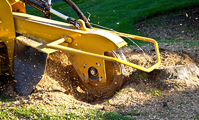 Stump Grinding