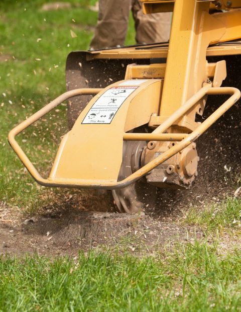 Stump Grinding